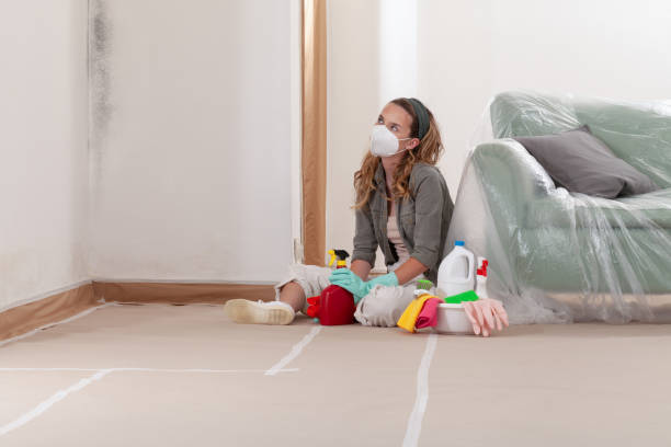 Reliable Crawl Space Mold Removal contractor in Beavertown, PA by WQB Mold Removal